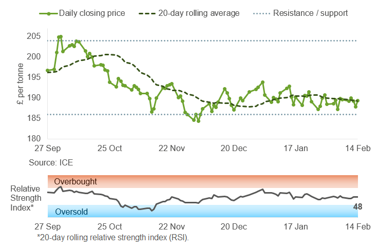 Wheat future graph 17 02 202572.png